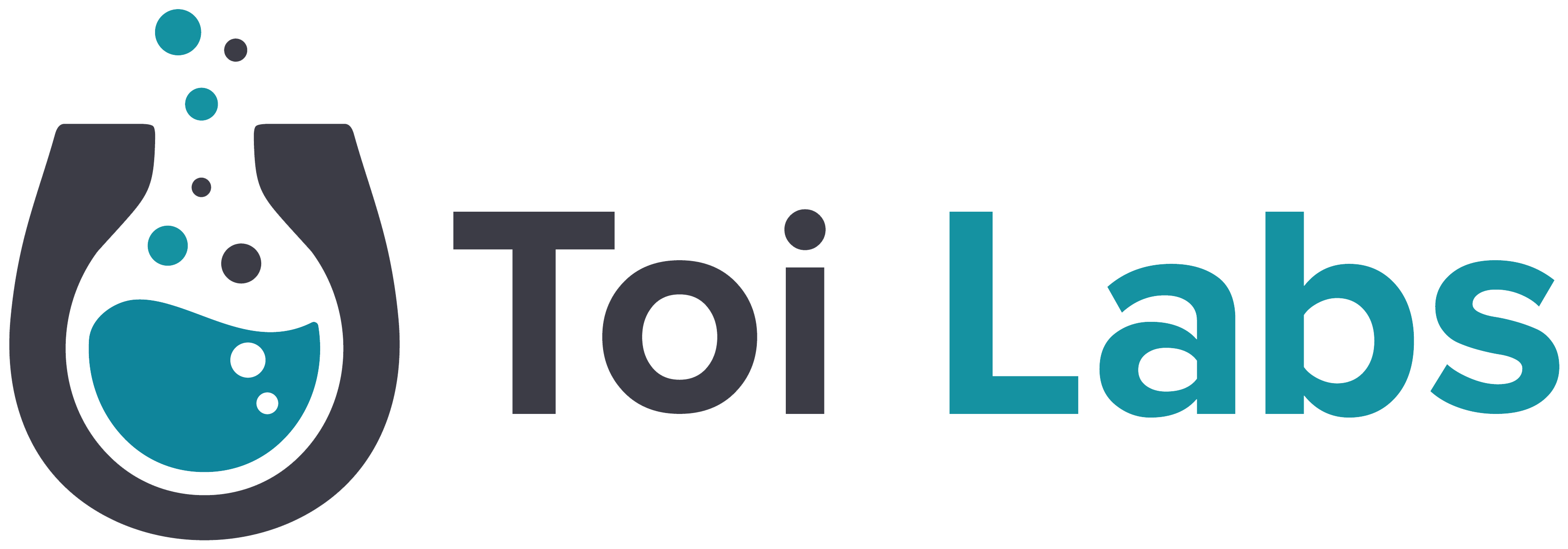 Toi Labs